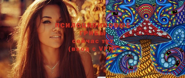 не бодяженный Арсеньев