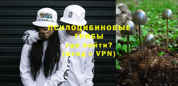не бодяженный Арсеньев