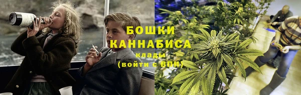 ПСИЛОЦИБИНОВЫЕ ГРИБЫ Аркадак